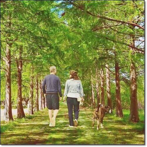 편백나무 길을 걷는 가족