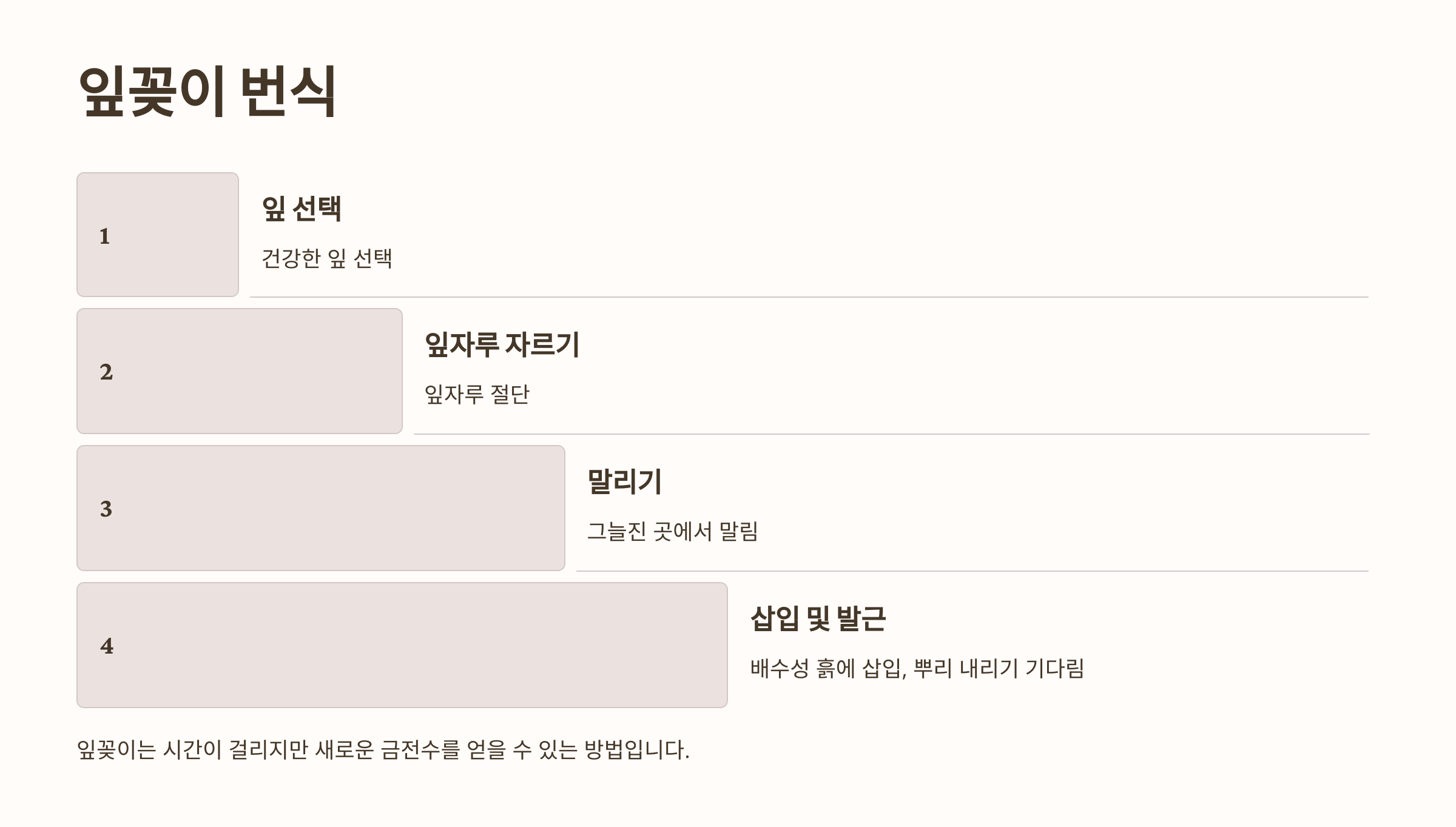 금전수와 관련된 사진입니다.