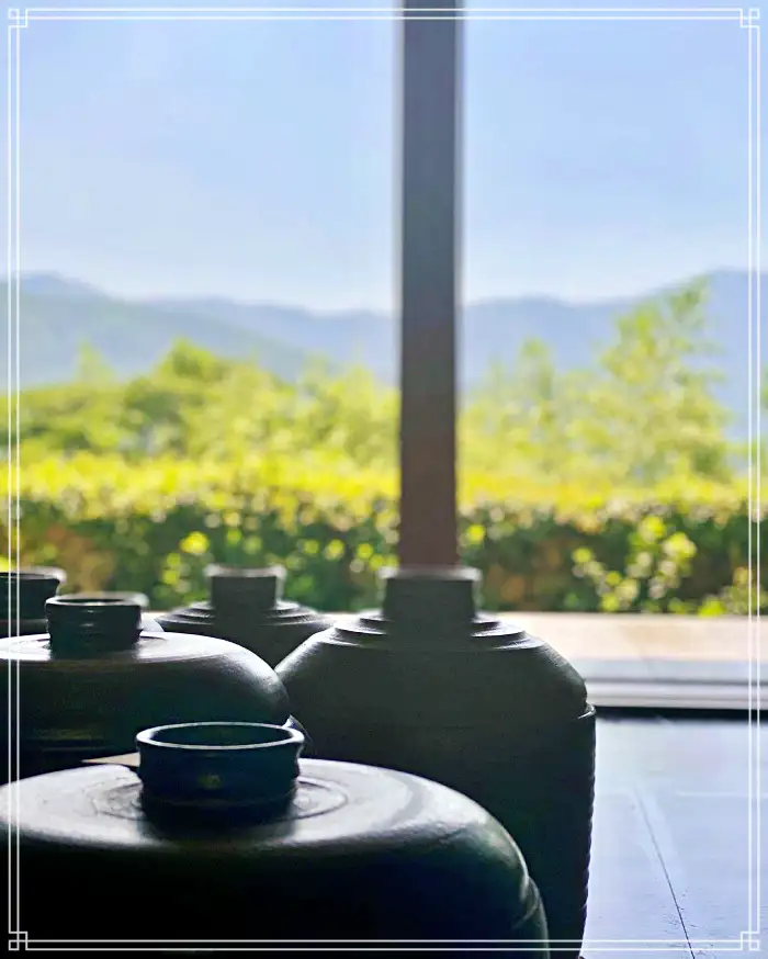 생방송 오늘저녁 경남 산청 지리산 힐링 티테라피 약초차 맛집