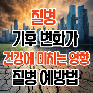 질병 / 기후 변화 /기후변화가 건강에 미치는 영향/ 질병 예방법