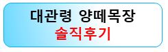 강릉-대관령-양떼목장-후기