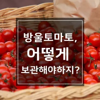 2주 이상 방울토마토 보관 시 꿀팁 오래 보관_4