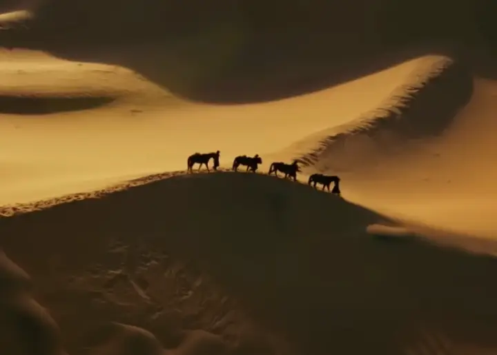 하얼빈 솔직 리뷰