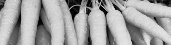 당근 재배방법: 비료 사용