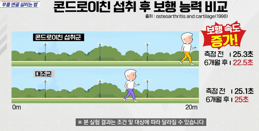 콘드로이친 효능