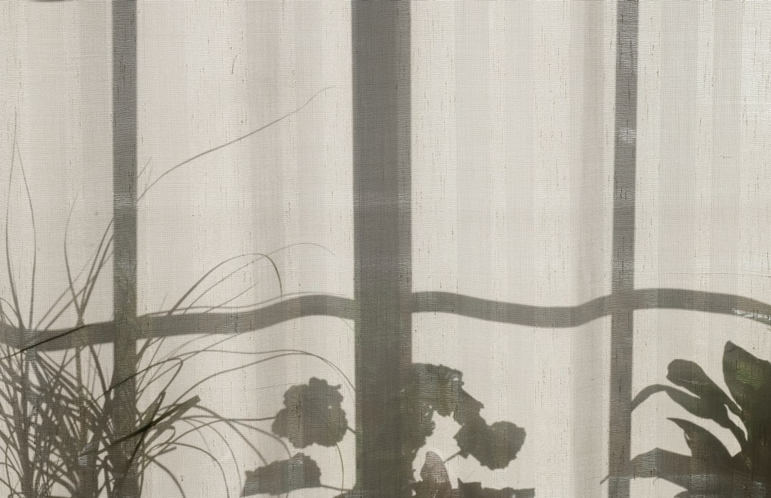 Curtain