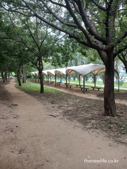 광나루 한강공원 숲길 옆 텐트형 쉼터 – 벤치와 그늘이 함께 있는 서울 맨발 걷기 좋은 장소의 휴식 공간