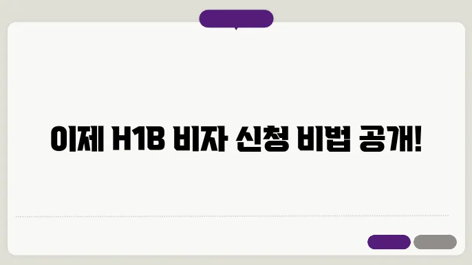 h1b 비자 신청 절차