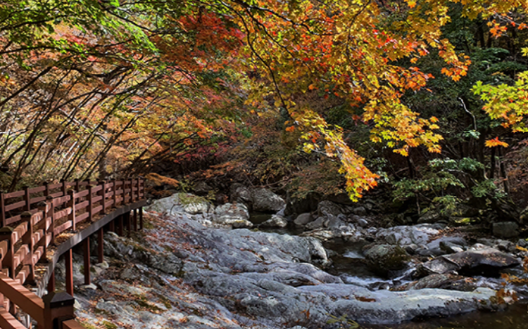 덕유산 케이블카