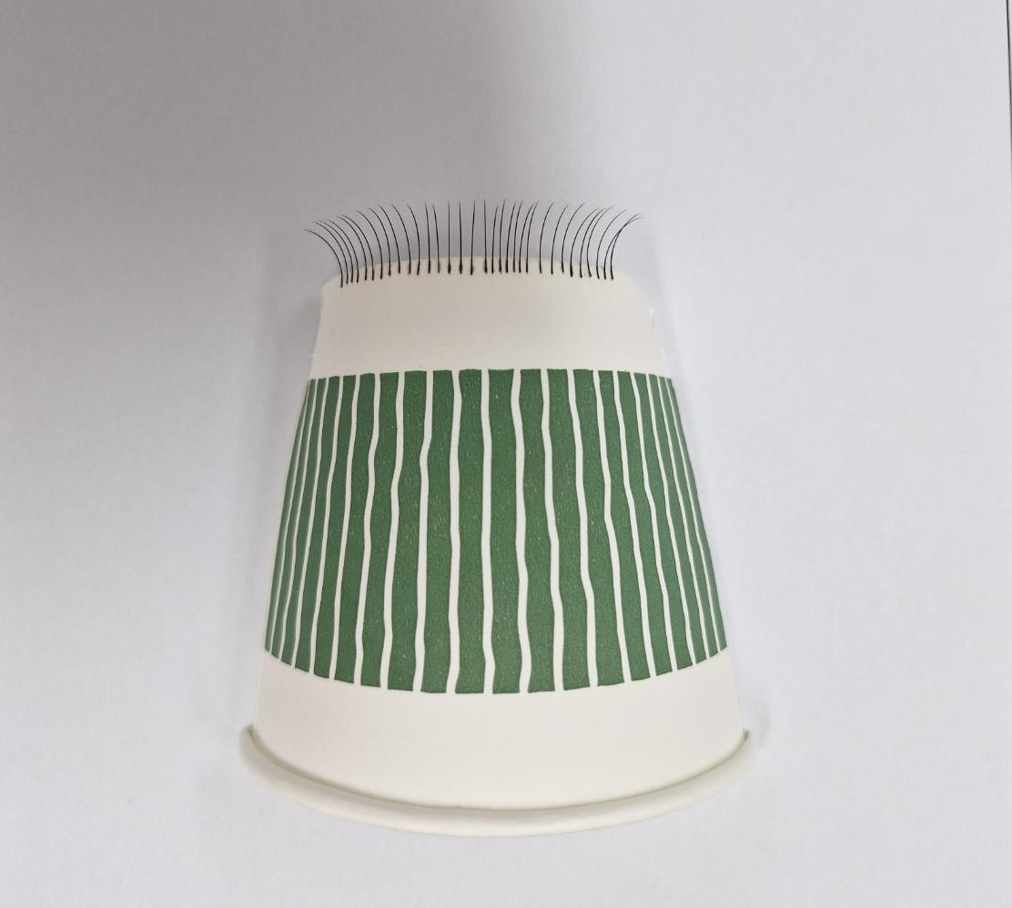 속눈썹연장4단계