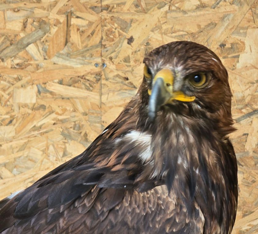 가평베고니아새정원