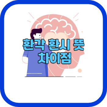 환각 환시 뜻 차이점