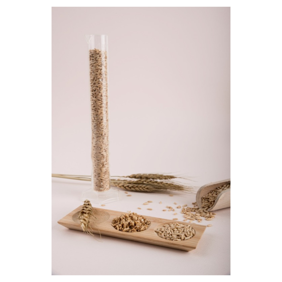 마그네슘과 관련된 사진입니다.