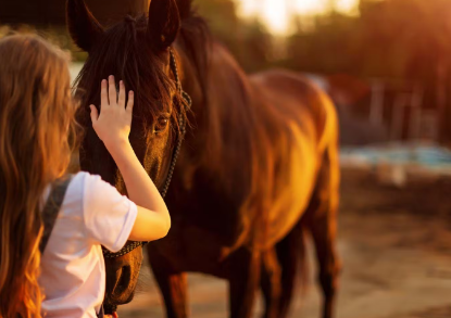 말의 동물 치료 동물
