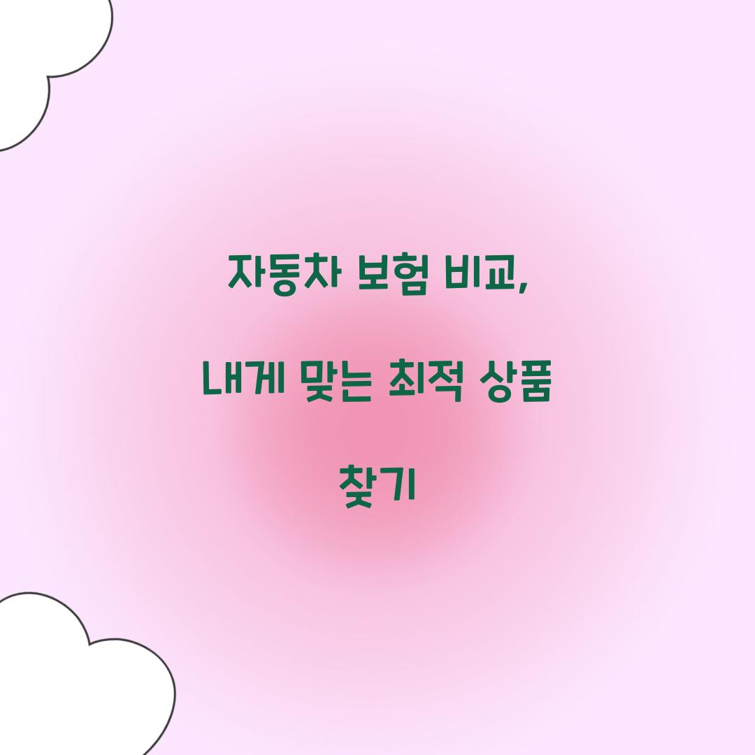 자동차 보험 비교