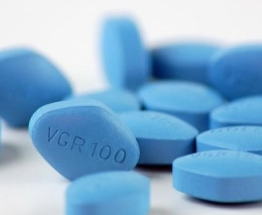 비아그라주요-사진8