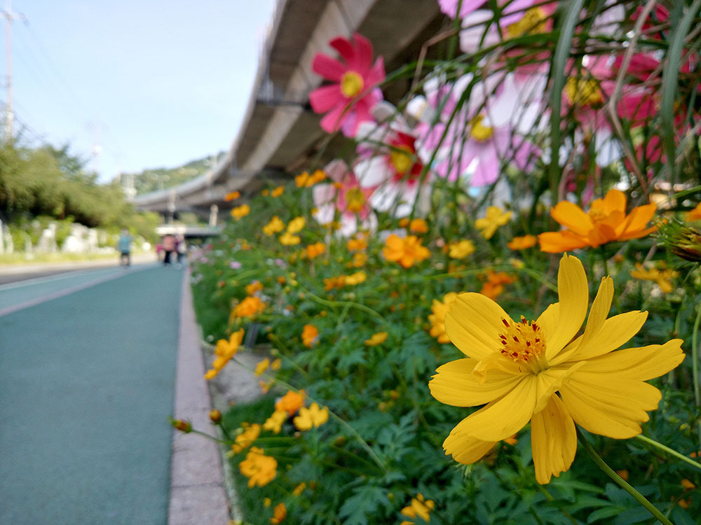 이마트24 10월 오만보 걷기챌린지