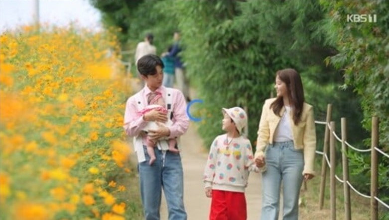 황화코스모스