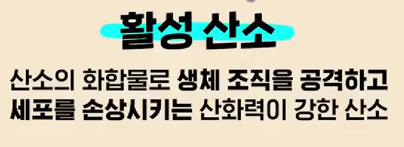 활성산소