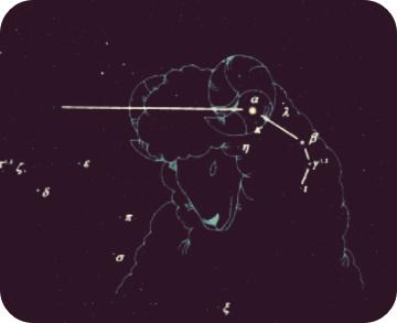 총 정리 및 조언