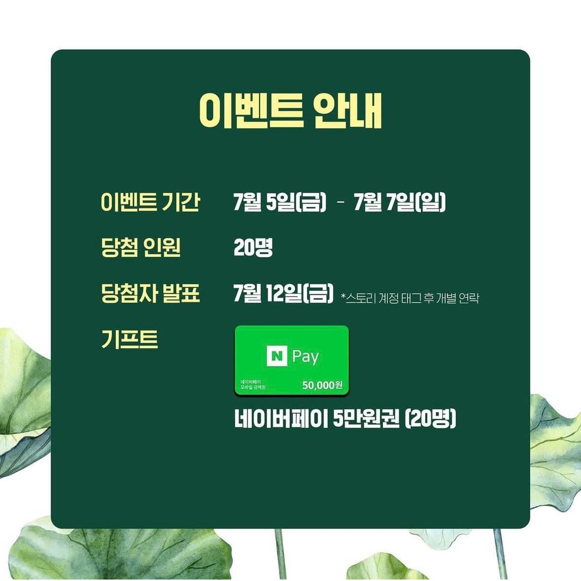 부여 궁남지 연꽃축제