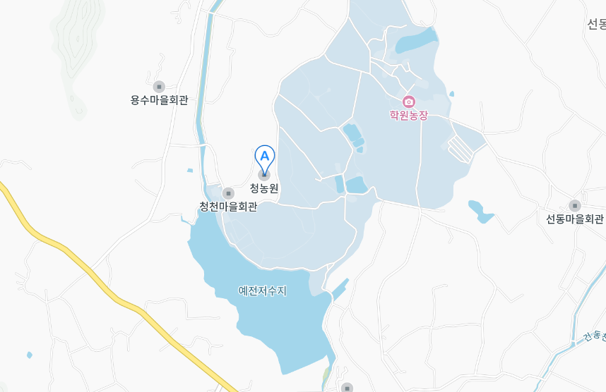 2024 고창청농원 라벤더시즌 축제 일정 개화 입장료 장소