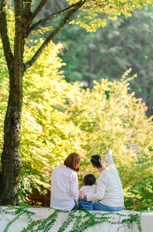 청도 프로방스 빛축제