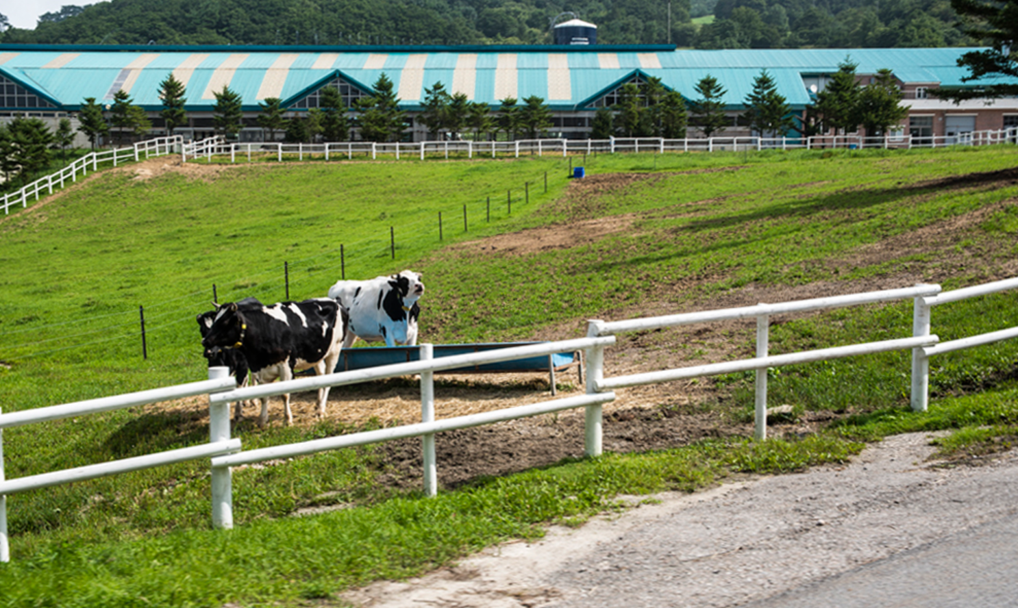 평창 가볼만한곳 베스트10