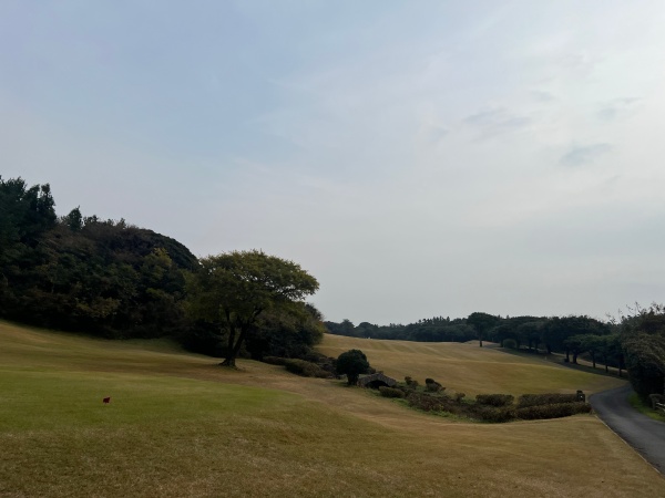 제주도 롯데렌트카