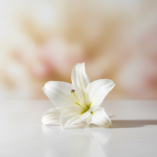 여성이라면 주목! 난소 문제로 생기는 통증