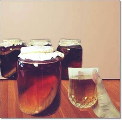 콤부차 먹는 법