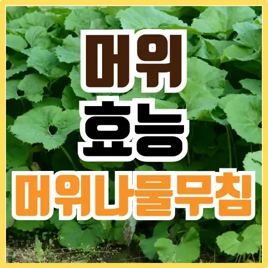 머위
