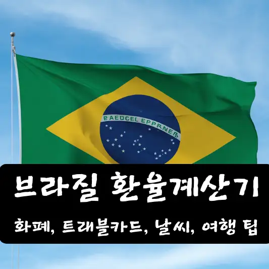 브라질 환율 계산기 날씨 트래블카드