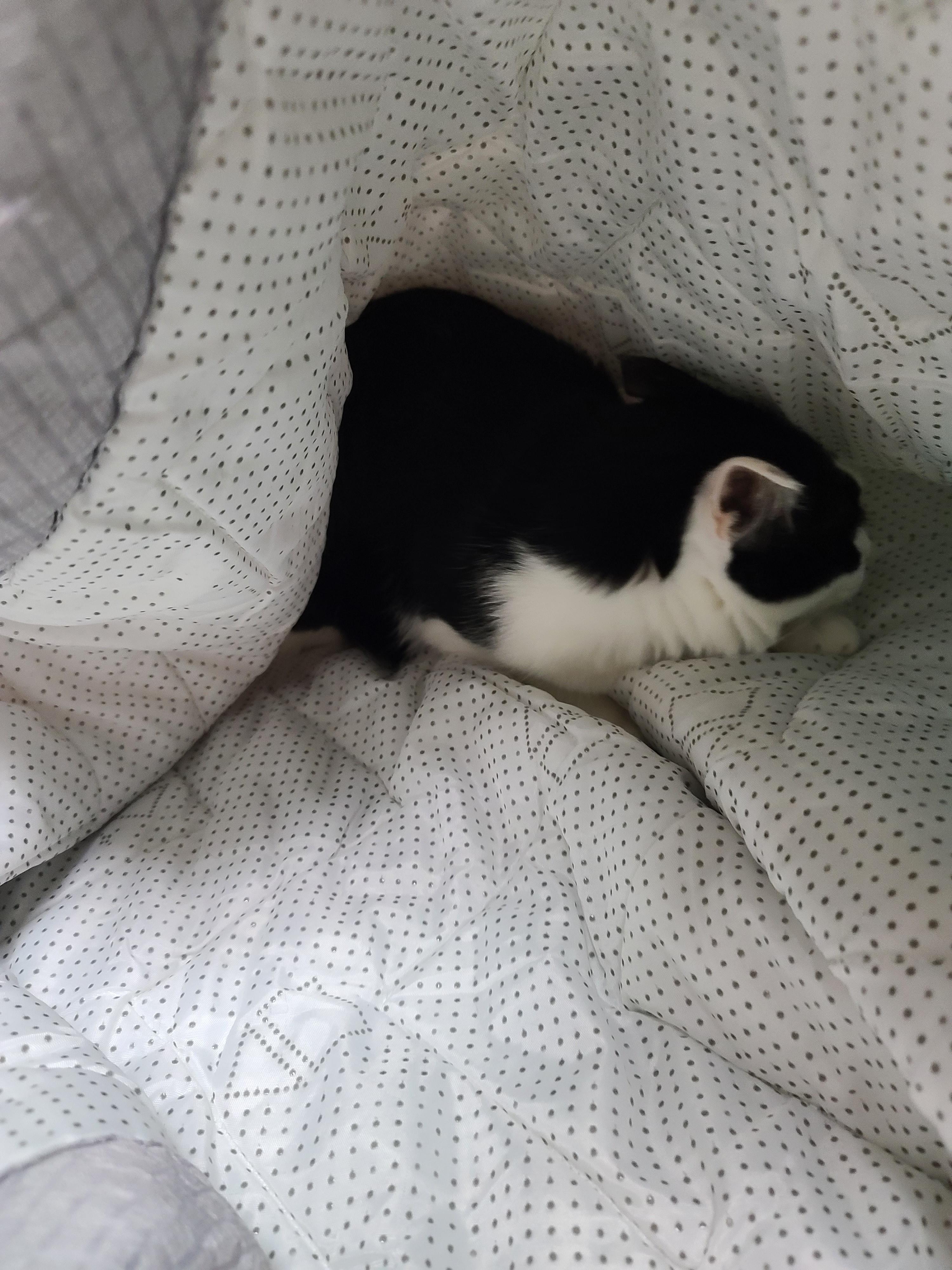 인기짱인 이불속 체험! 진상고객들과 늘어나는 대기자들..