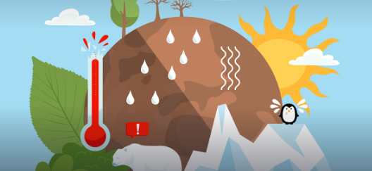 기후행동, 더 늦기 전에 우리가 해야 할 일