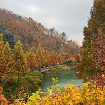 화담숲 예약