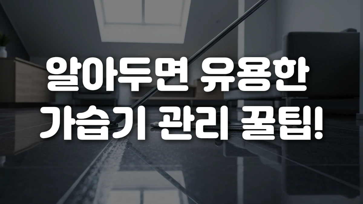 알아두면 유용한 가습기 관리 꿀팁