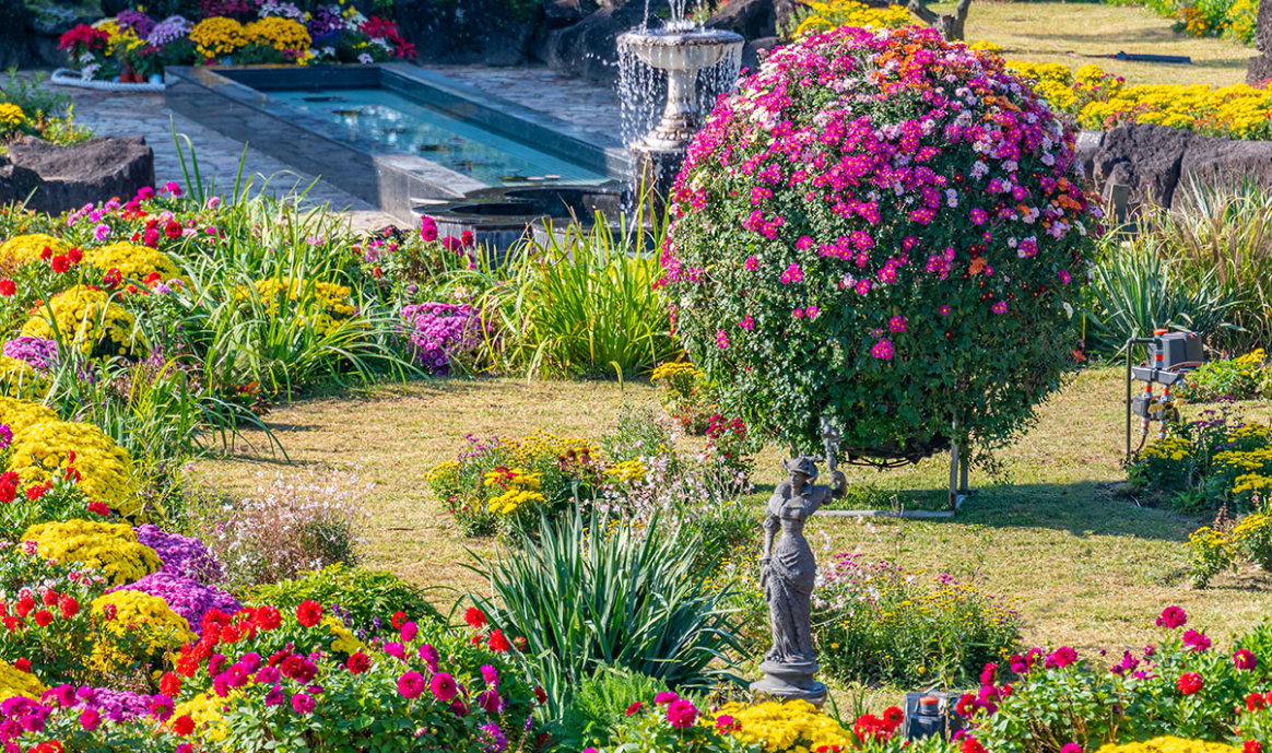 벽초지수목원 파주 여행 아이와 함께 체험