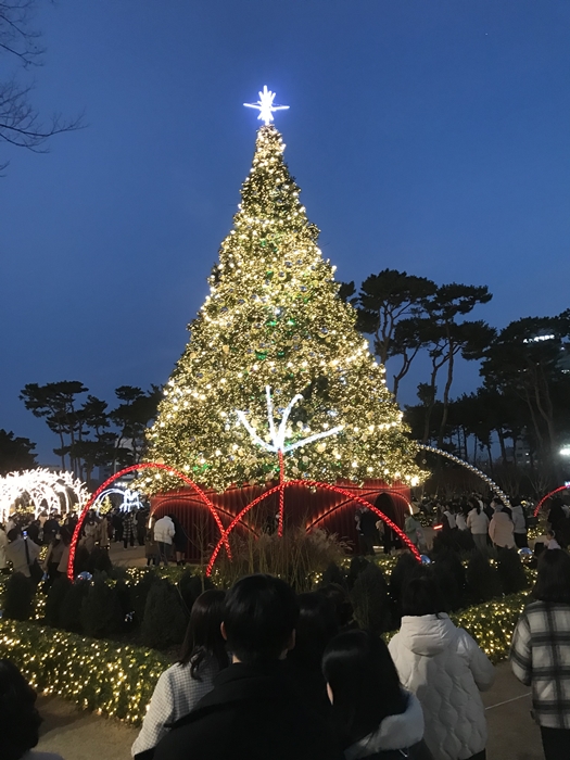 롯데월드몰 크리스마스트리