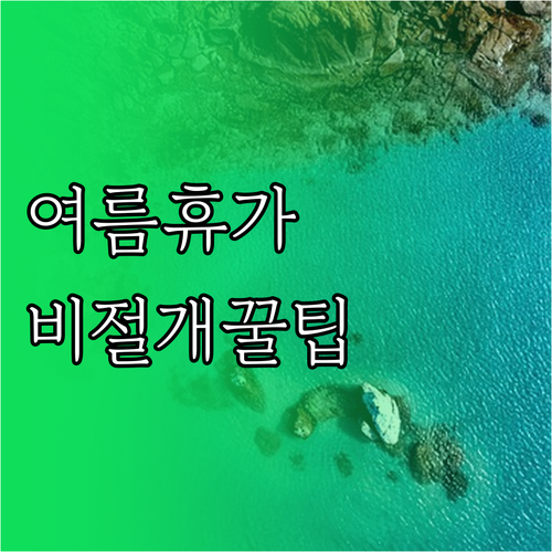 비절개 모발이식 여름 휴가 전 시술 ..