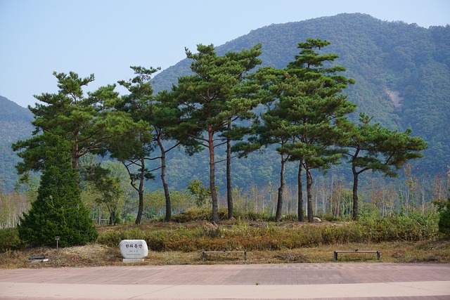 남이섬