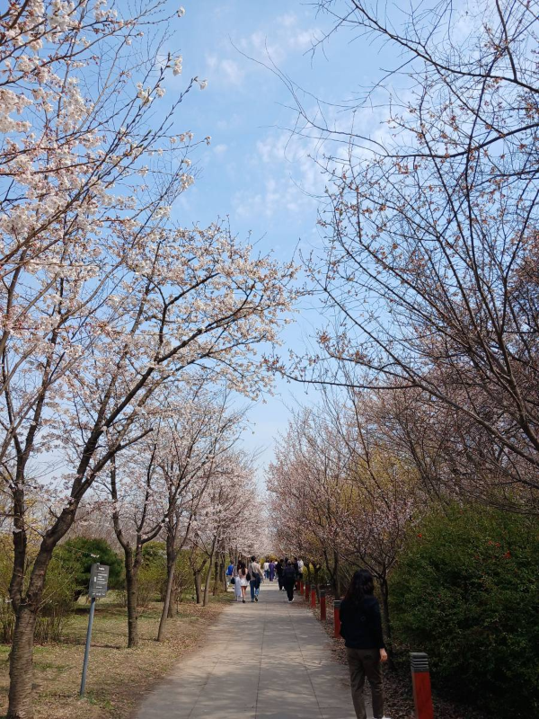 다채로운 꽃들 사이 걷다