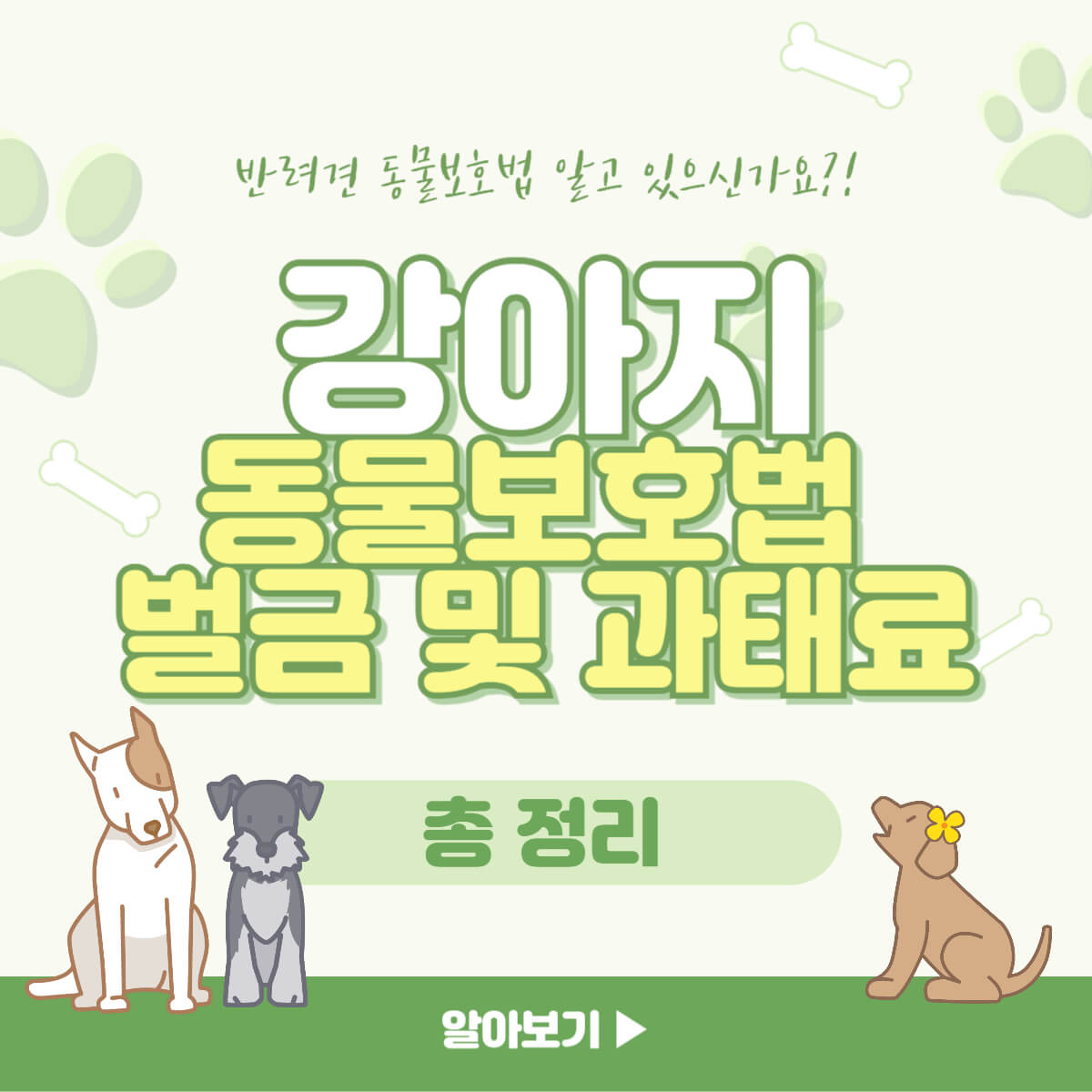 강아지 반려견 동물보호법 벌금 및 과태료 총 정리