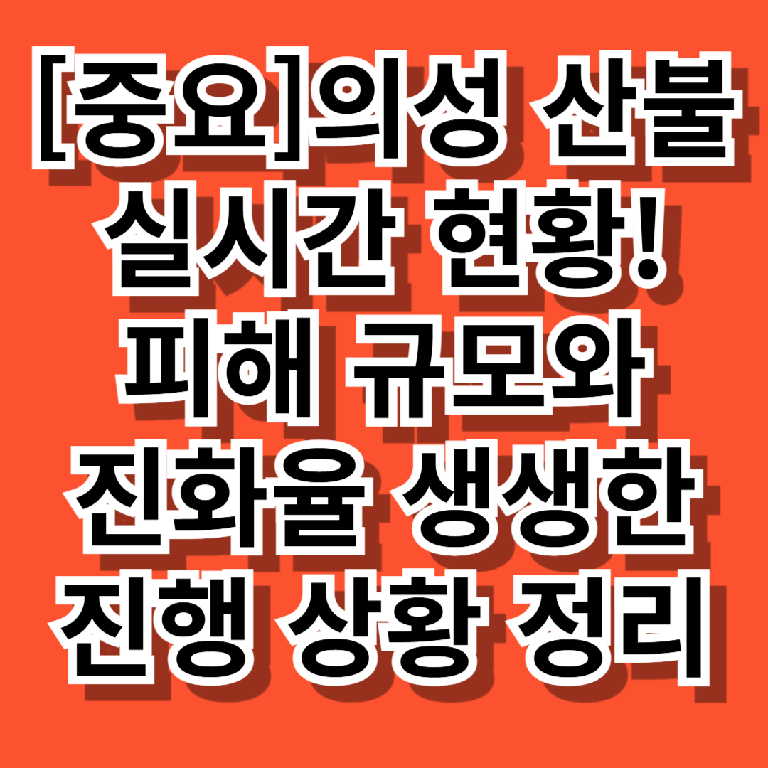 의성 산불 실시간 현황! 🔥 피해 규모와 진화율, 생생한 진행 상황 정리- 대표이미지