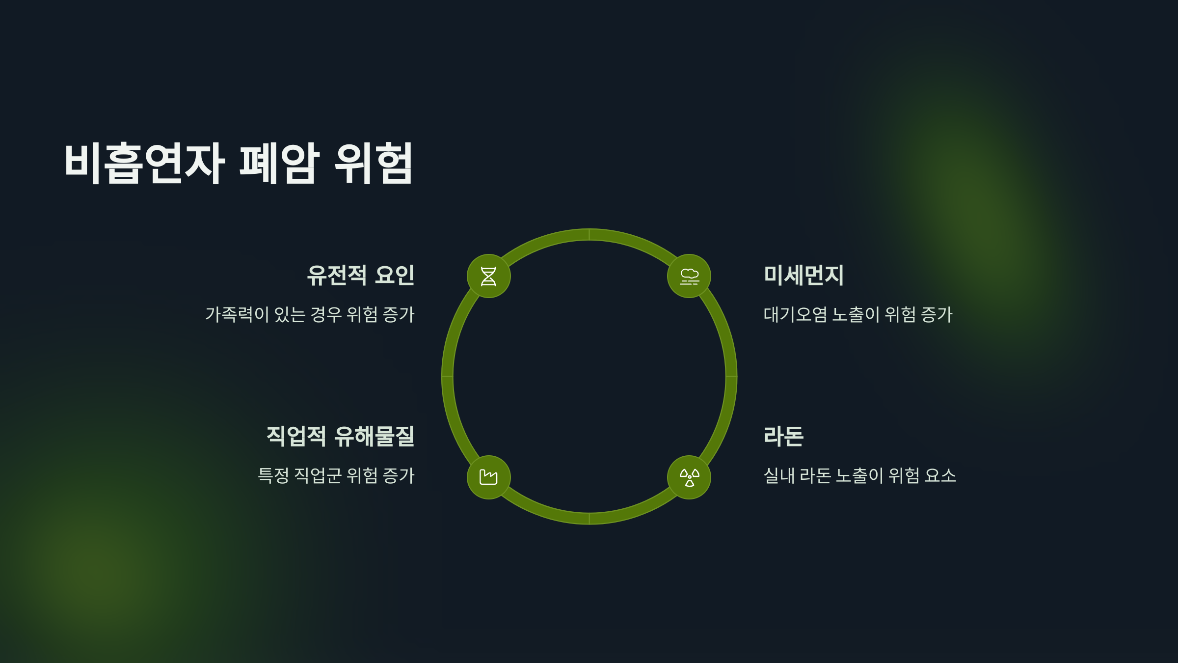 비흡연자 폐암 위험