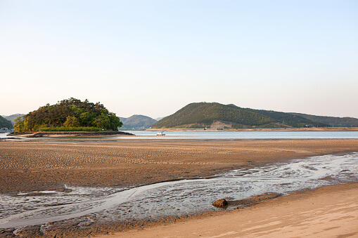 광양매화마을 사진