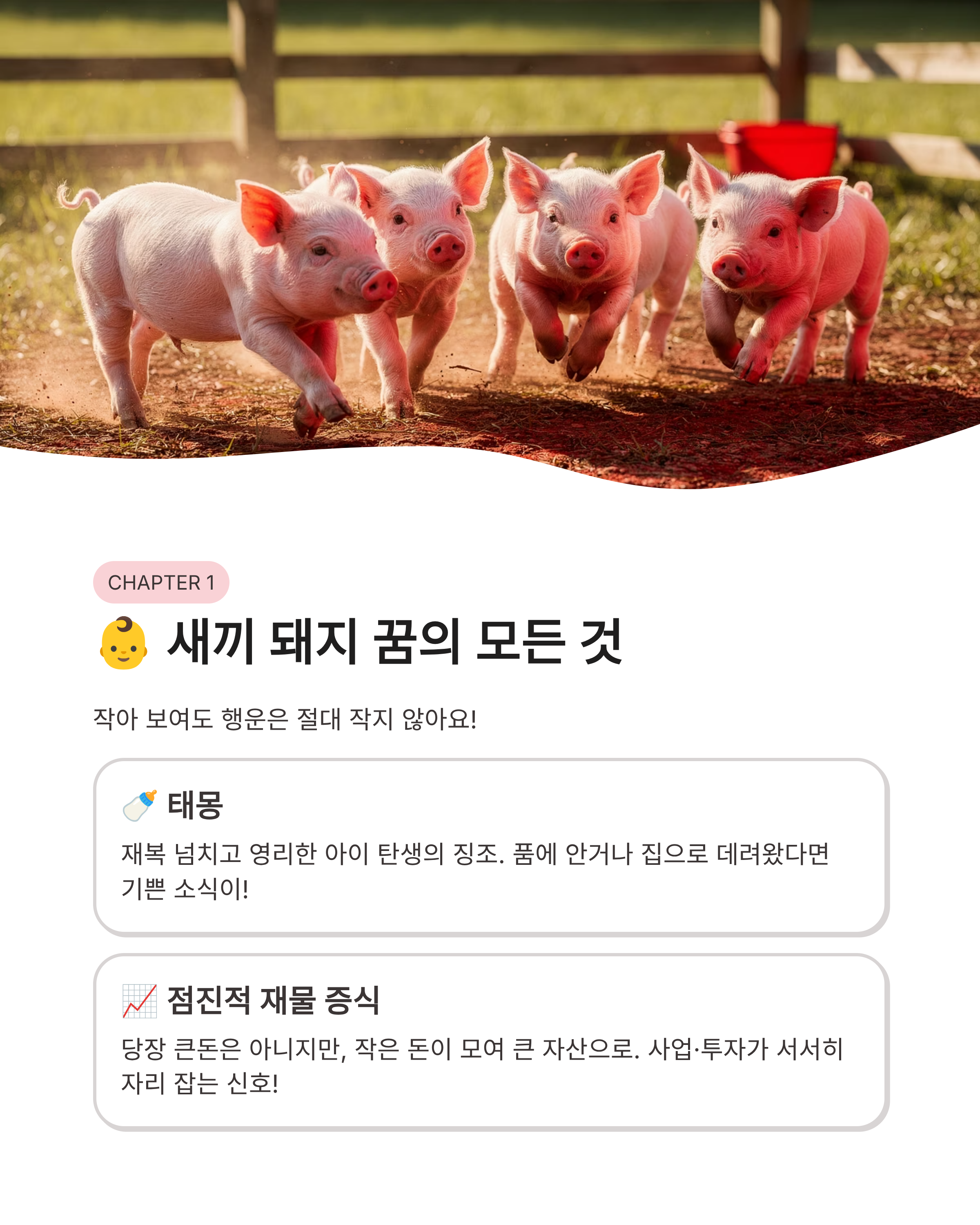 돼지 꿈 해몽 ❘ 새끼 돼지 똥 묻은 돼지 복권 당첨까지? 재물운 폭발하는 징조 총정리!