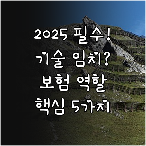 기술 보험 역할 2025 기술자료 임..