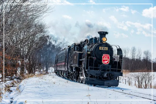 삿포로 여행 필수 가이드: 북해도의 매력을 100% 즐기기 위한 완벽한 계획