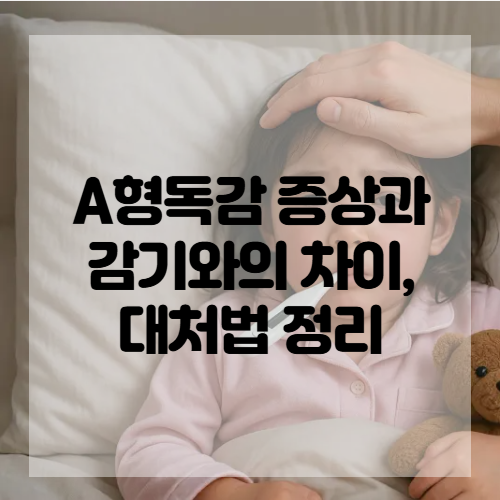A형독감 증상과 감기와의 차이, 대처법 정리